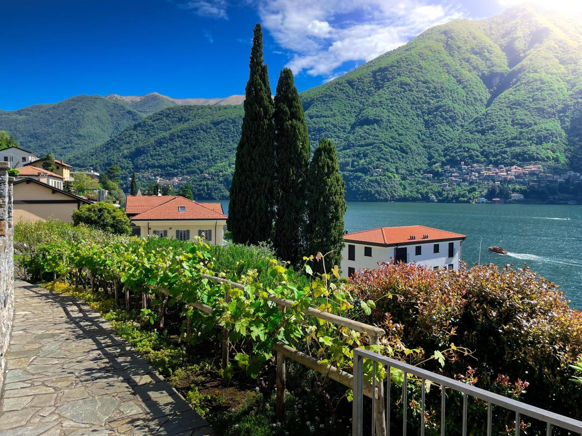 Villa Luminosa Laglio - Private Parking, Garden Exteriör bild